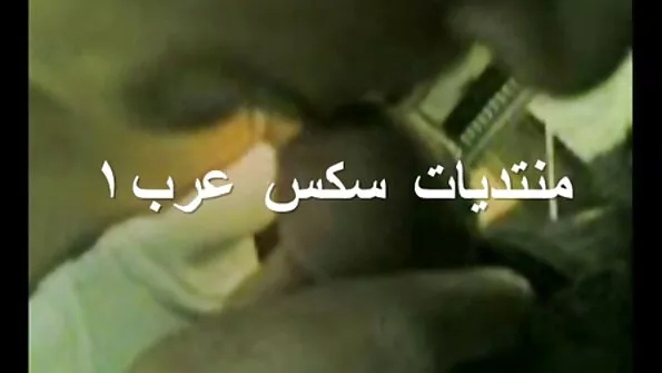 بڑی چھاتی والے دو گورے بہت مزے کر رہے ہیں۔