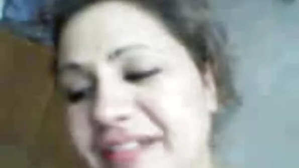 وائٹ ہسی کتے سٹائل کو پیار کرتی ہے اس کے بلیک سٹڈ کے ساتھ۔
